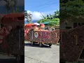 Wow Float Parade