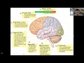 Memory Intro Psych Chapter 7 Recorded Lecture Psyched with Setmire