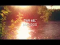 divididos - par mil // letra.