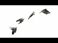 Free As A Bird (31st Anniversary Mix) [2026 Mix] - The Beatles