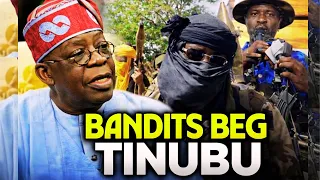 bandits beg as nigerian airstrikes hit forest camps