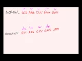 DNA Mutations Made Easy