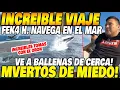 Download Lagu INCREDIBLE TRIP 🐋 FEK4 HOUSE sails on a BOAT and sees WHALES UP CLOSE 😱 THEY'RE SCARED! 😂🌊 MP3