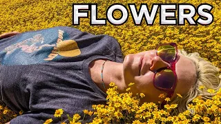 Download Wild Flowers, Hot Springs - You Gotta Love California in Spring!- EP. 235 MP3