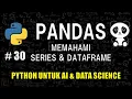 Memahami Pandas Series dan DataFrame di Python - Belajar Python Untuk AI Data Science