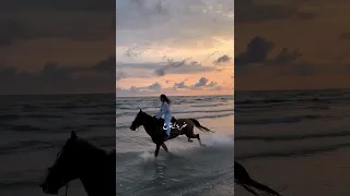 مثل المهرة من تمشي تخبط عالكاع  حالات واتس حب ستوريات انستا حب تصميمي       ترند اكسبلور لايك حالات دندنها