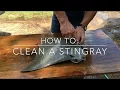 Download Lagu HOW TO: Clean A StingRay
