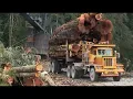 FS 22 Silverrun for real 08 log truck drivers part 2 lotta gears