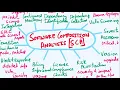 Software Composition Analysis SCA App Security Third Party Software and Open Source Security
