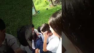                     دندنها