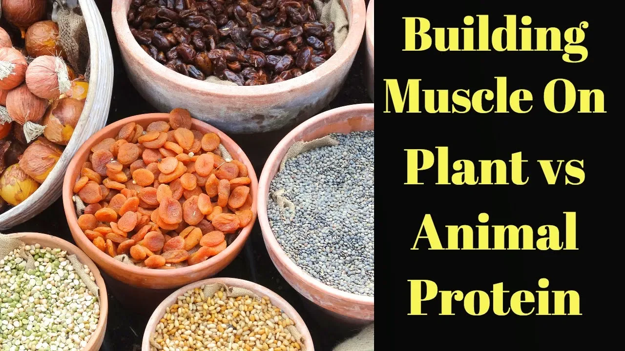 Vegan Protein vs Animal Protein: Which Builds More Muscle?