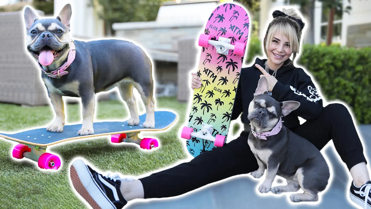 Just Me Teaching My Dog To Skateboard