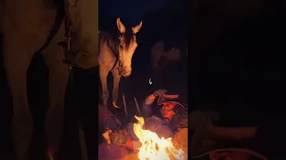 دكتور الشامي رميتني من حصاني ويا ميمي أنا خيال 