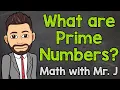 What are Prime Numbers? | Math with Mr. J