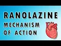 Ranolazine Mechanism and Side Effects