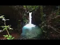 No Rastro da Lua Cheia (Renato Teixeira/Almir Sater) - Almir Sater (Videoclipe)