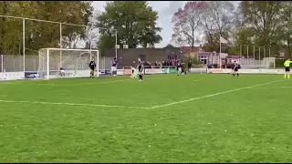                     دندنها