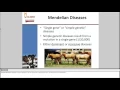 Equine Genetics 101