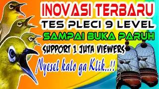 Download Tes Mental Pleci Terbaru, 9 Level Tes Emosi \u0026 Birahi Pleci Sampai Buka Paruh MP3