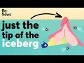 The clitoris Explained