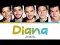 One Direction - Diana Lyrics (Color Coded Lyrics)
