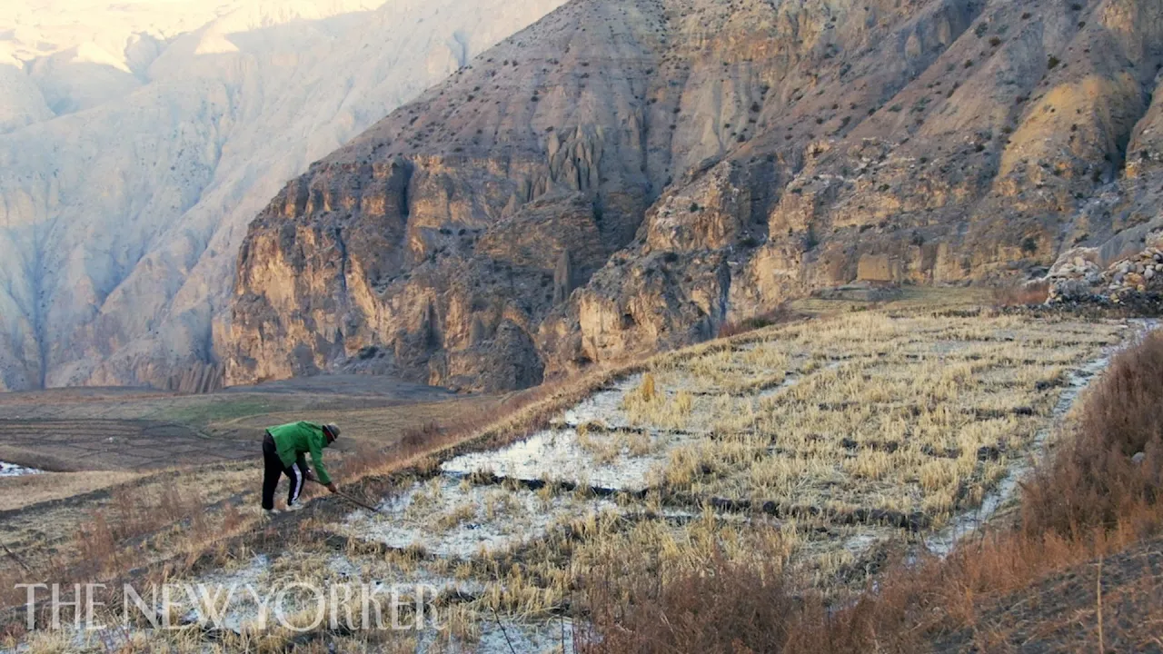 When Glaciers Go: Life Without Water | The New Yorker Documentary