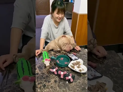 A noughty dog become a mother for the first time #shorts