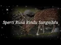 Download Lagu Sperti Rusa Rindu SungaiMu - Lagu Komuni