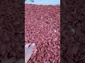 Red Pine Bark Nuggets