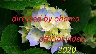simba ya bulungwa nyimbo ya vero officil video director obama 