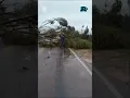 Download Lagu Rajadas de vento de mais de 100 km/h provocam estragos no Rio Grande do Sul #shorts #JR24H