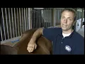 9 Steps of Saddle Fit Compilation by Schleese Saddlery