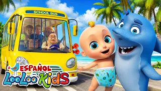 Las Ruedas Del Autobús, Los Pollitos Dicen Pio Pio y 🦈 Bebé Tiburón - Canciones Infantiles