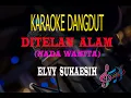 Download Lagu Karaoke Ditelan Alam Nada Wanita - Elvy Sukaesih (Karaoke Dangdut Tanpa Vocal)