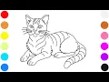 How to Draw and Color a Cat Cat Coloring Page for Kids Adults Cute Kitty Drawing