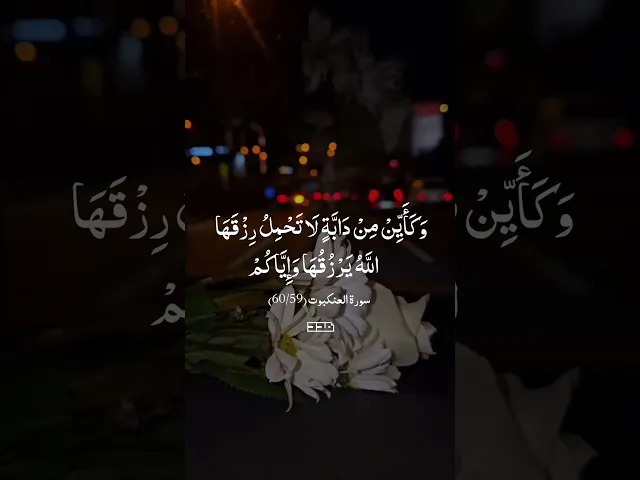 بِسْمِ اللَّهِ الرَّحْمَنِ الرَّحِيم✨#سورة_النور#تلاوة #قرآن #آيات