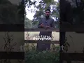 Download Lagu Hoe de As-Suffa Alimiyyah-cursus zich onderscheidt #registertoday