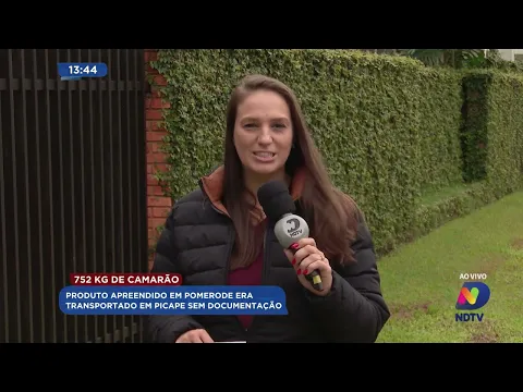 Mais de 750 kg de camarão são apreendidos em Pomerode