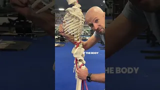 Tight Psoas 