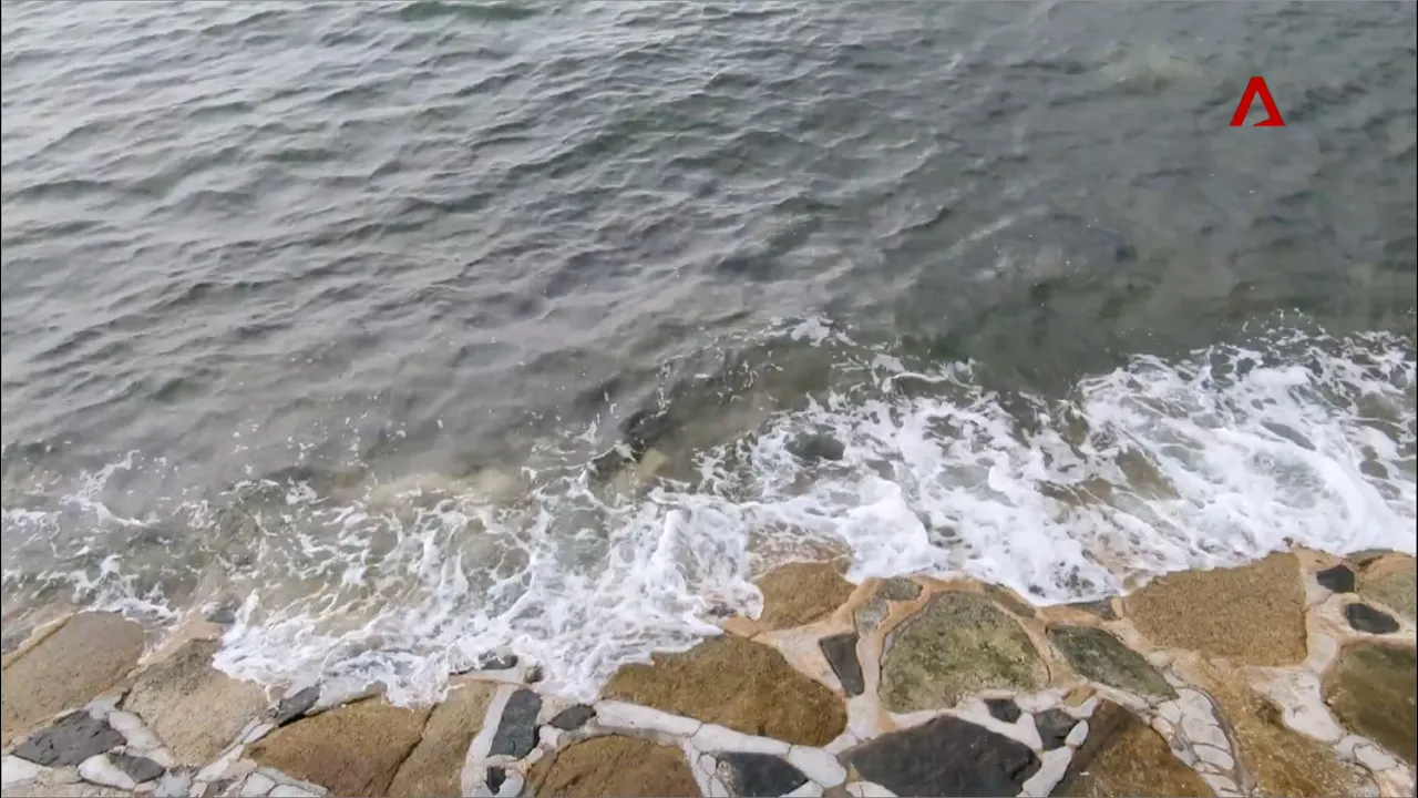 Stem The Tide