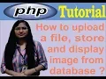 How to Upload a File Store and Display Image From Database in PHP
