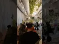 bagaikan raja dan ratu #pengantin baru