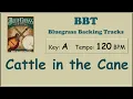 Cattle in the Cane - bluegrass backing track 120 bpm