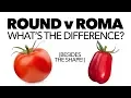 Tomatoes Round vs Roma What s the Difference