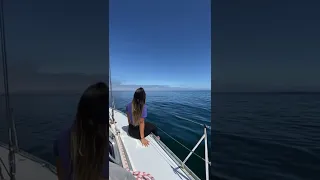 Filling the sails⛵️ in flat seas and sunshine!😎 #shorts #sailing #travel #adventure