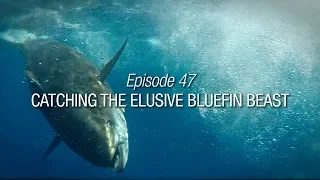 Winded Voyage 3 | Episode 47 | Catching The Elusive Bluefin Beast