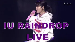Download IU - Raindrop Live :: @ Seoul 2017 Tour 'Palette' MP3