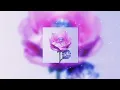 Download Lagu Slowed // Vaporgod, Irokz - Reverse Roses (Diamondz n Roses Reversed)