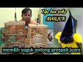 Download Lagu tips dan triks memilih sogok ontong prospek dari ombyokan