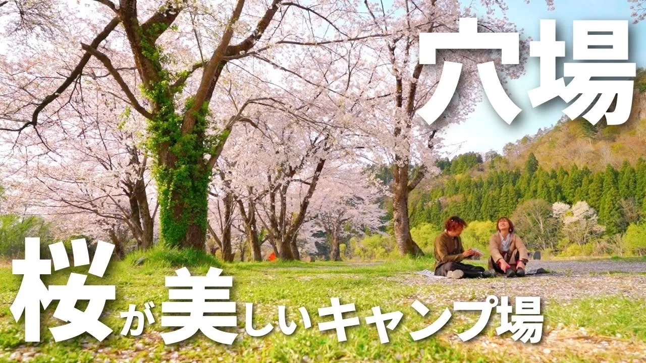 【キャンプ場紹介】オススメ！お花見を満喫できる無料キャンプ場！/麒麟山公園/阿賀町 썸네일